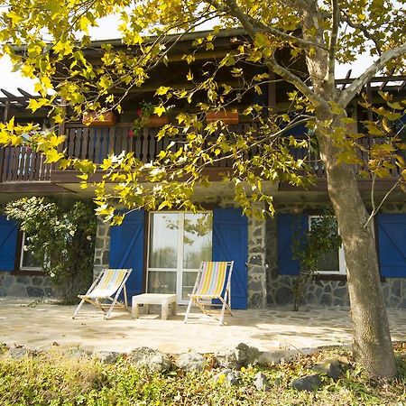 Art Provence House Villa Lozenec Kültér fotó