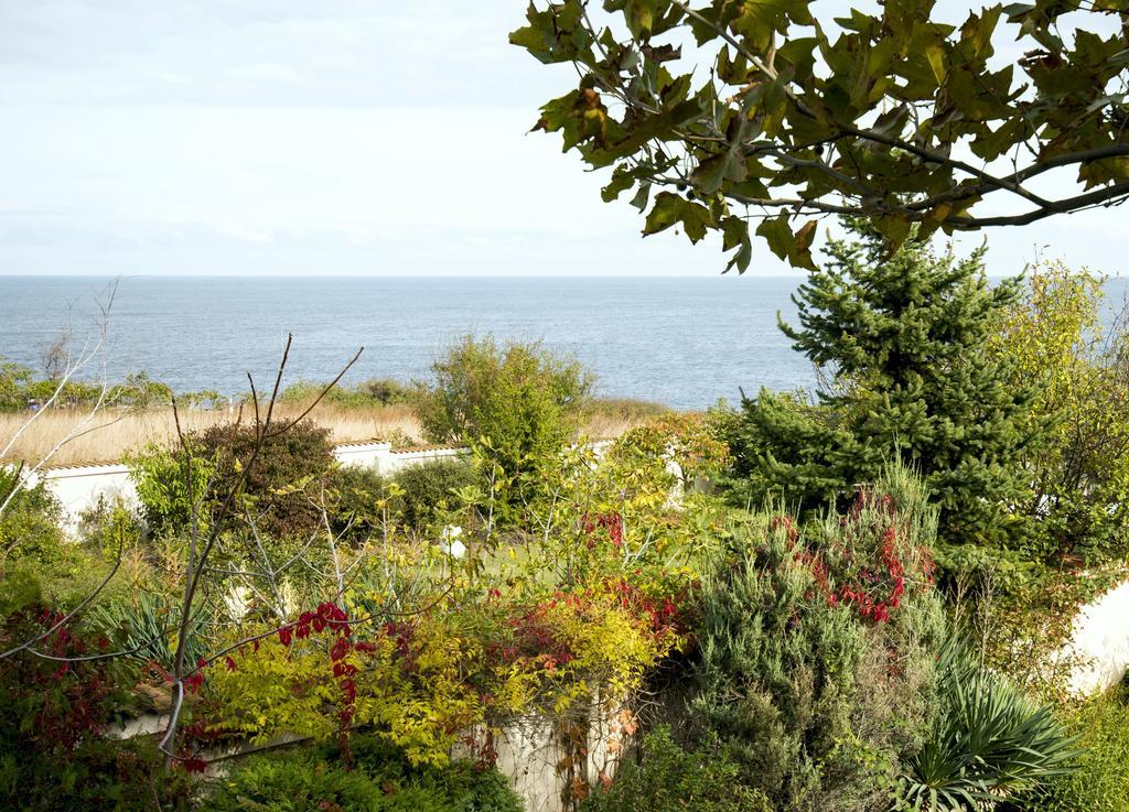 Art Provence House Villa Lozenec Kültér fotó